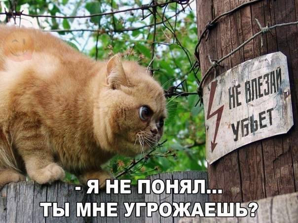 После этого взгляда и слов провода сами обесточились, а столб нафиг зарылся в землю.