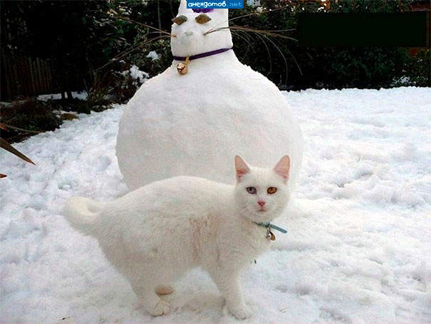 Я памятник себе воздвиг нерукотворный....
