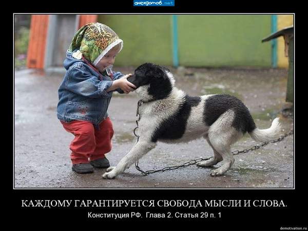 Это ты, что ли Злая собака?