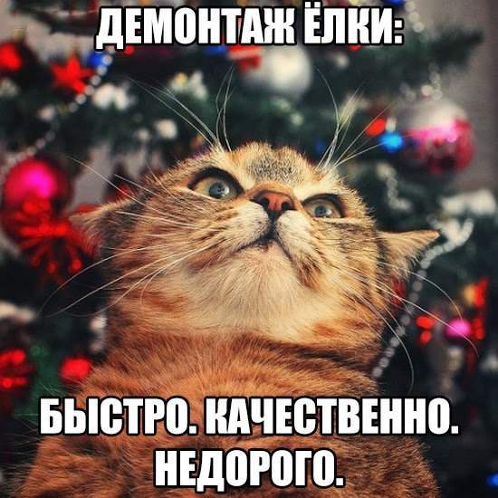 Пока преждевременно, зайдите после рождества.