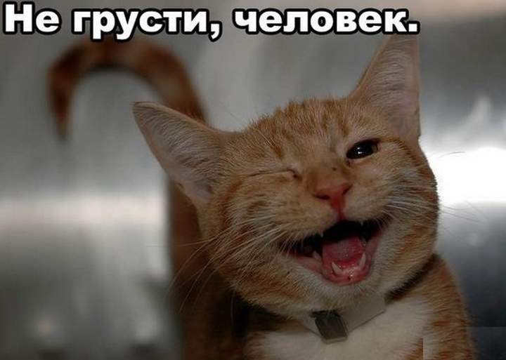 Приходишь домой, а тебе РАДУЮТСЯ!!!!!