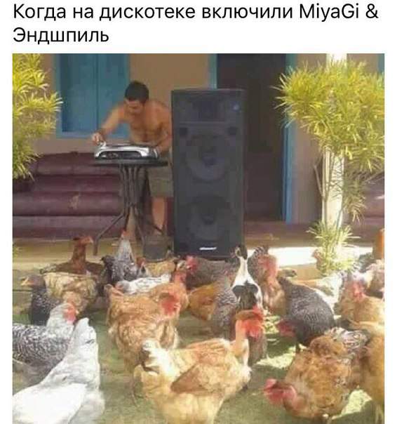 Чтобы курочки неслись, на прослушке Ференц Лист