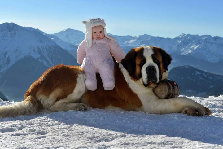 Снежного человечка вот нашел......