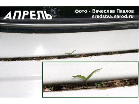 всюду жизнь!