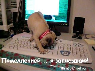 Пишу маме письмо...