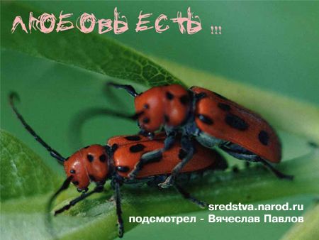 Мы хоть и не щепки, но Весну никто не отменял...