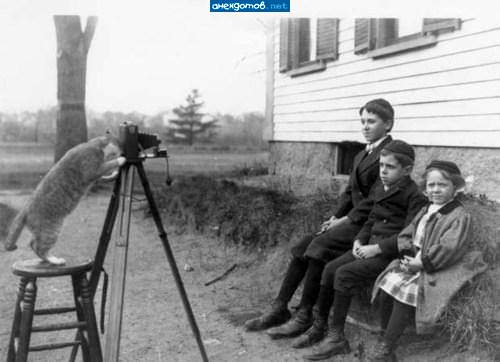 Кот таки спер у Шарика фоторужье!
