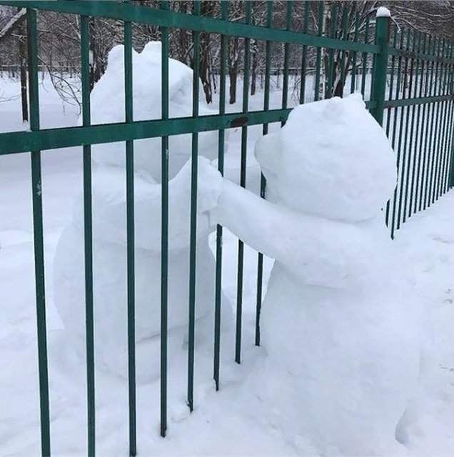 Соединятся весной под забором.