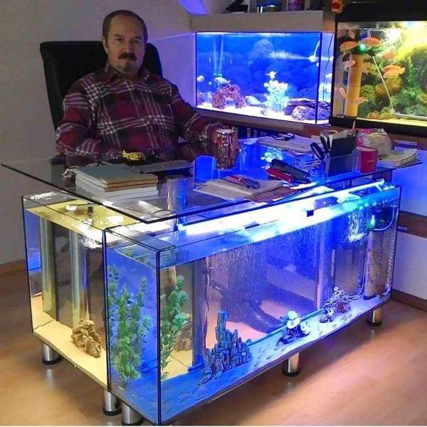 а рыбы где? сожрали?