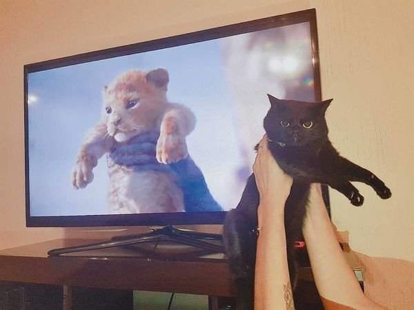 Как можно меня, настоящего ЦАРЯ, сравнивать с этим желторотым!?