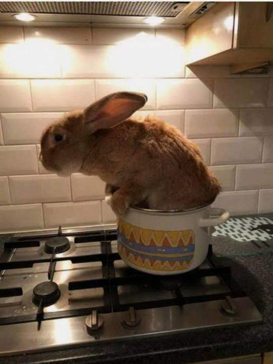 щас я вам горошка наложу...