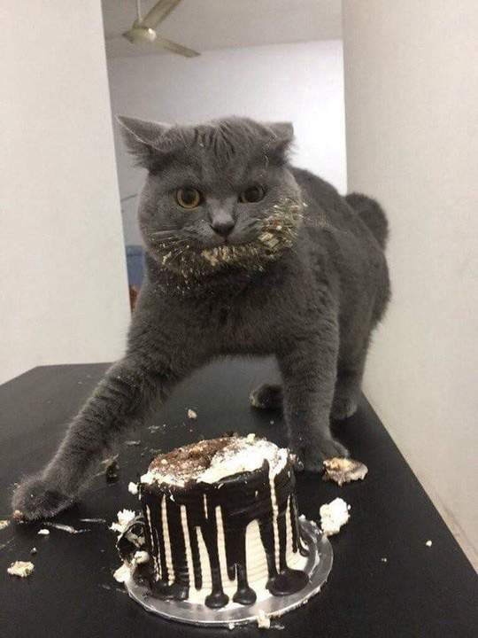 А у меня день рождения