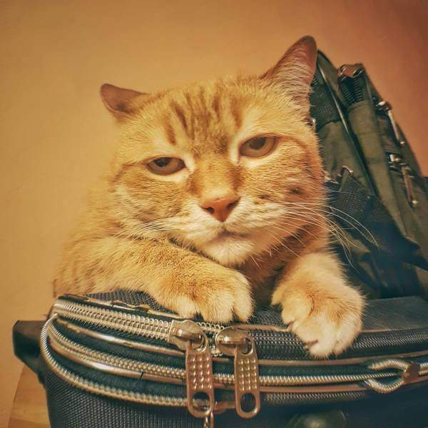 Так выглядит понедельник...