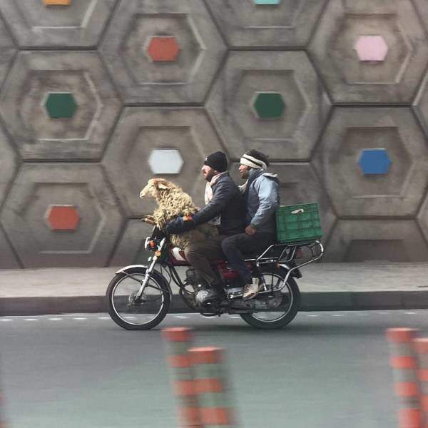 Два чебурека и шашлык.