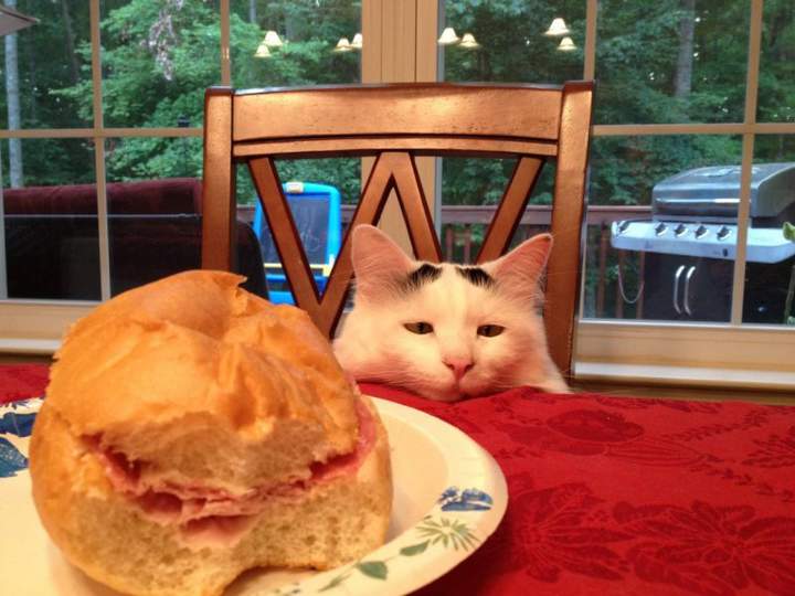 всё без мяса и без мяса, Васенька так и похудеть может