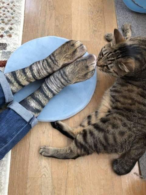Давно не вылизывался