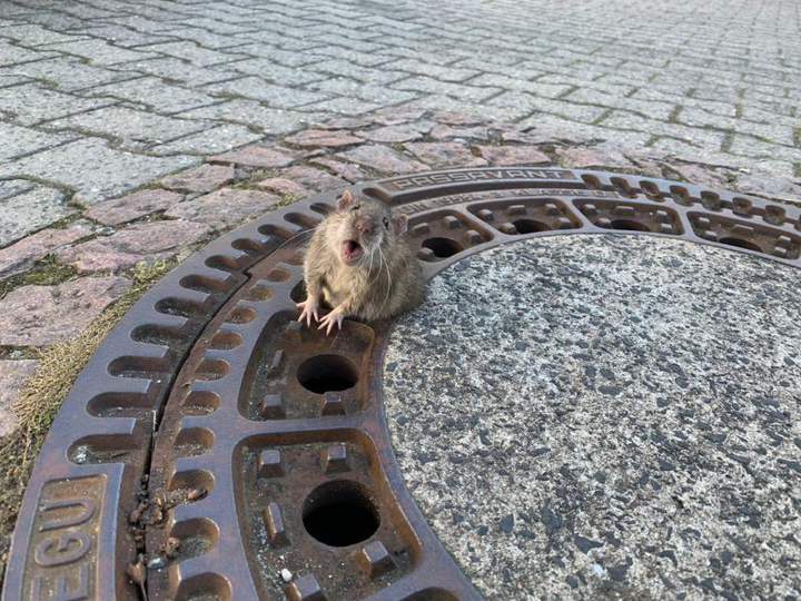 Ну прям как Рогозин в танке...
