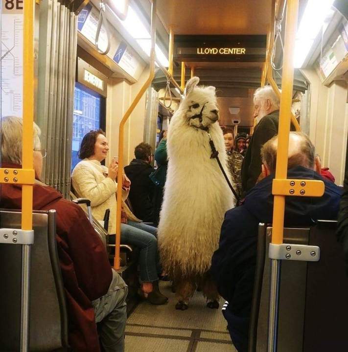 Маскарад