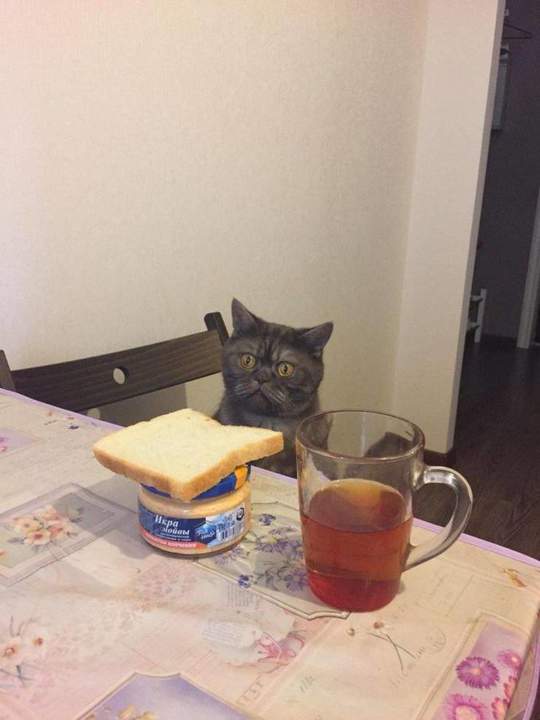 Хозяин, вот ты жлоб, а мне?