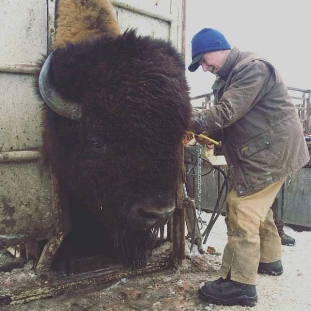 Подготовительные курсы на мастера в барбершоп