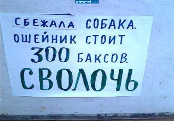 Спроси в шеверме за углом - может хоть ошейник вернут.