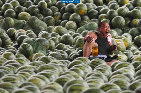 Бабу хочуууууу!!!!! Надоели арбузы!!!!!