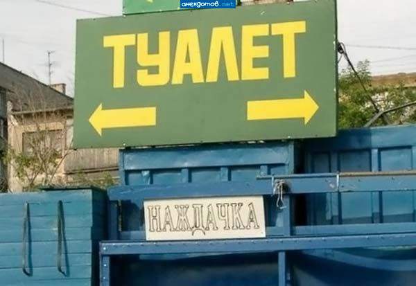 Лес там и там.Туалетная бумага тут