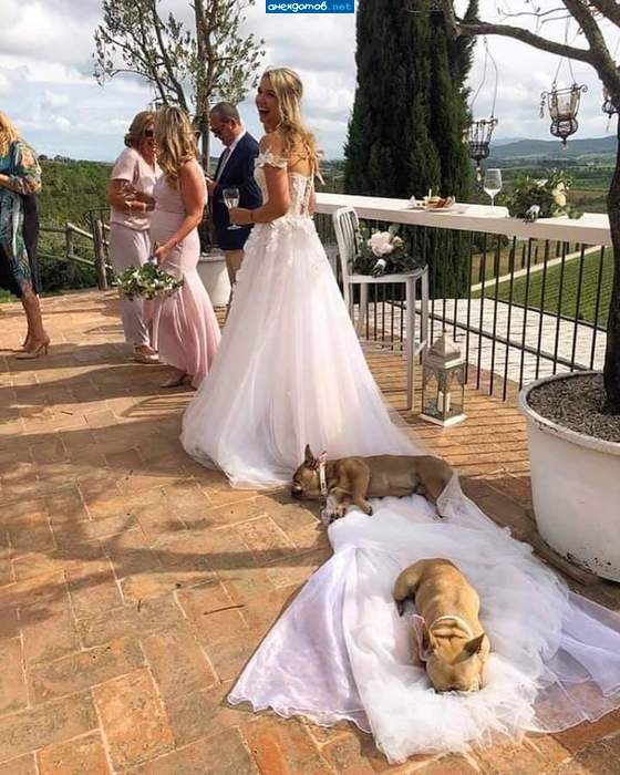 Невеста с приданым