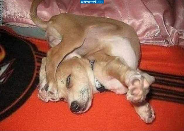 Зазиповался