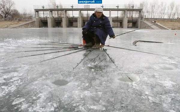 Многоудочник.