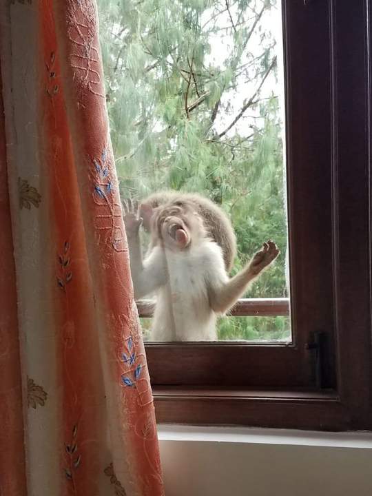 Белочка. Пришла. Без грима.