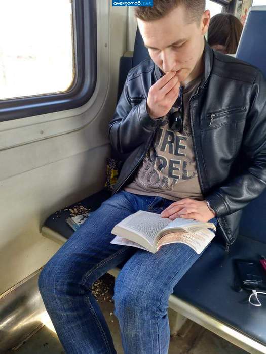 Быдло обыкновенное, одна штука.