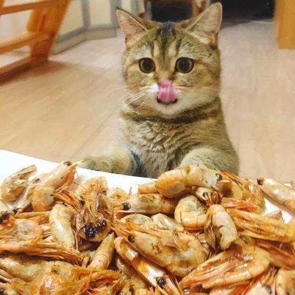 А в глазах, удивление. Неужели это все мое?