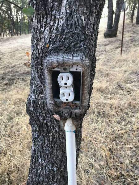 розетки для электропилы...