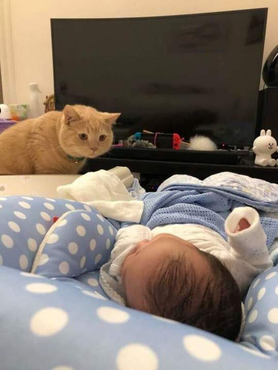 Кого это они мне припёрли?!
