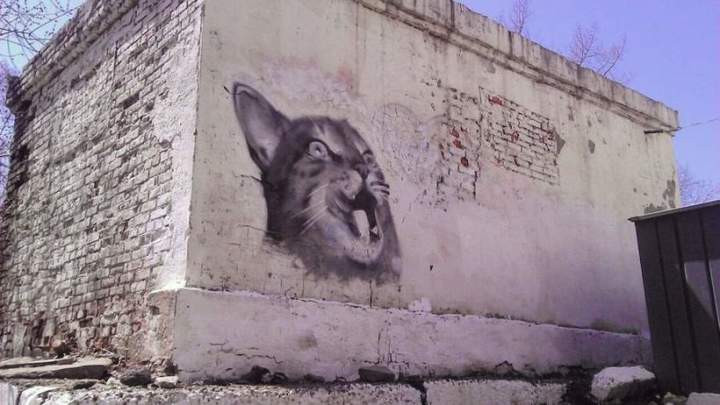 Кошкин дом