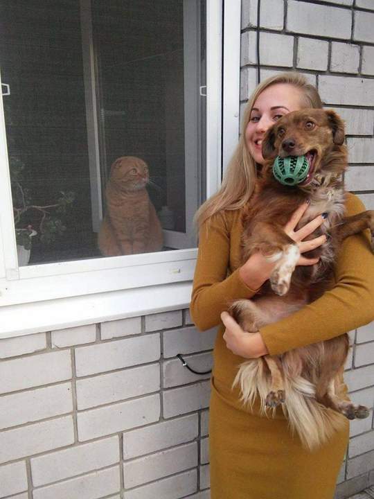 Шарика тискает, а меня даже на улицу не выпускает, с@чка крашенна