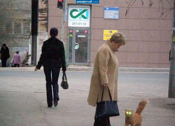 Дальний выруби)