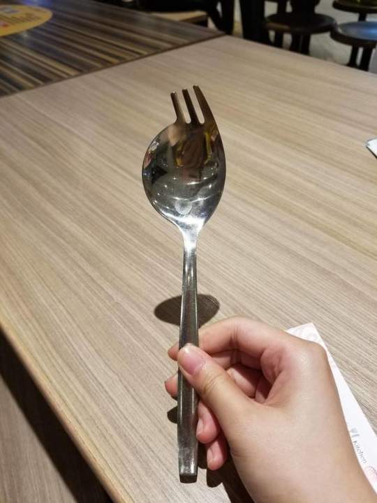 Ложноложка