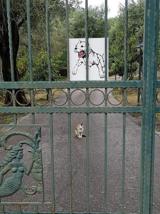 Это секретарь!
