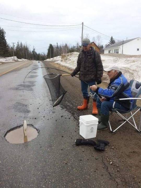 Хорошие у нас дороги, в ямах рыба водится. С голоду не помрём.