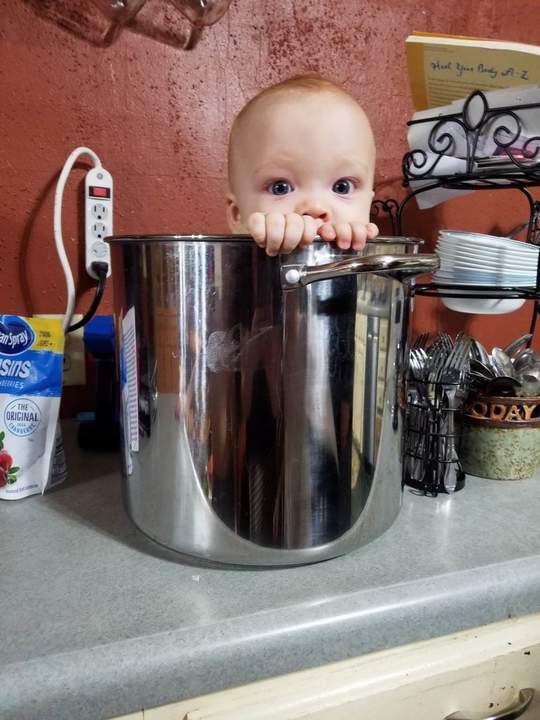 Сын повара