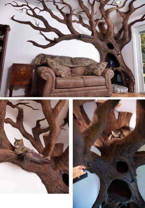 Кошачья берлога