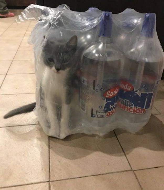 Водка Муркофф