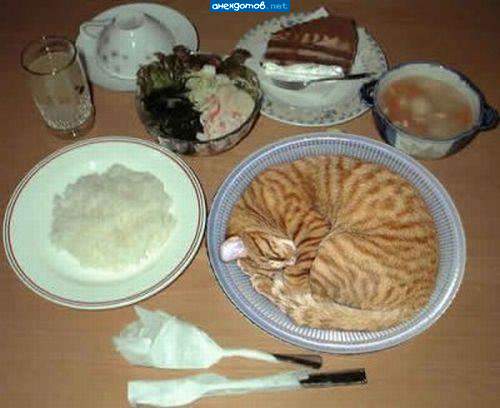 Завтрак Альфа