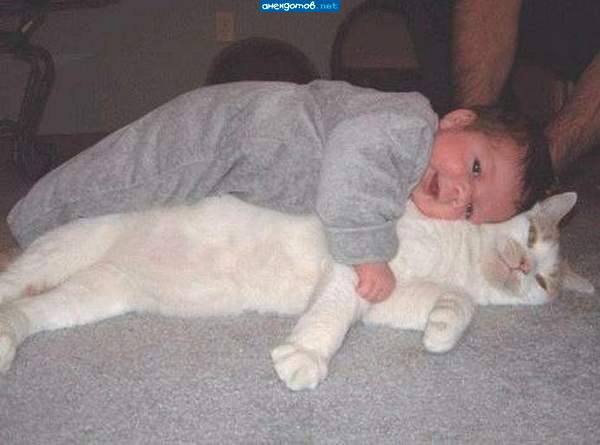 Кот Матраскин)))