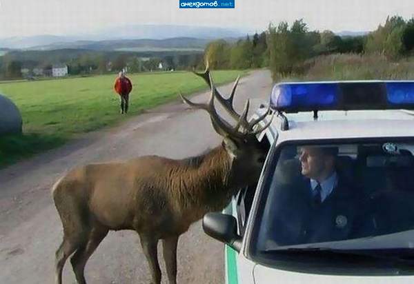 привет, бро!