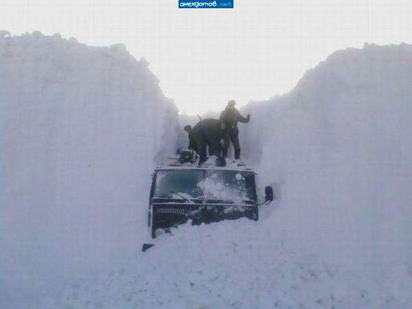 март 2010, Заполярье п. Оленья губа