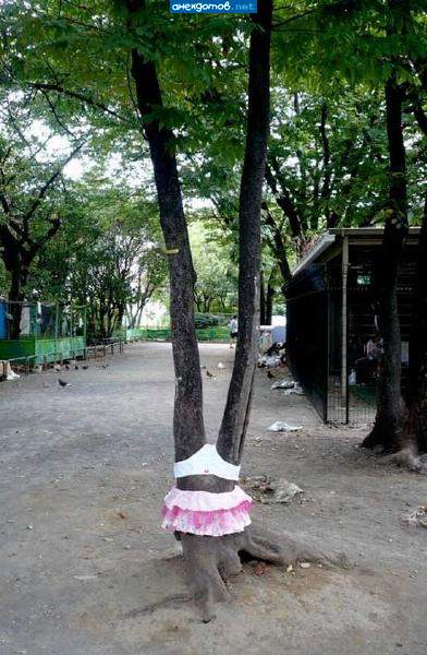 А ну-ка, засади!