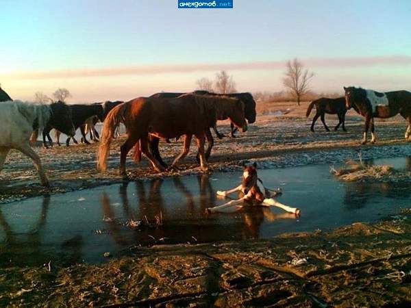 На ошибках учатся